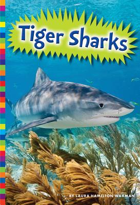 Tiger Sharks - Waxman, Laura Hamilton