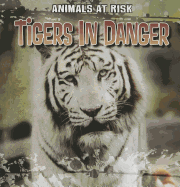 Tigers in Danger