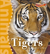 Tigers
