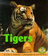 Tigers