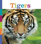 Tigers