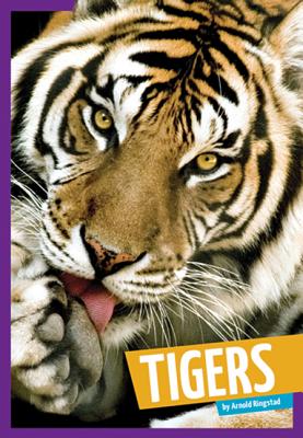 Tigers - Ringstad, Arnold