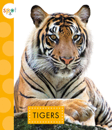 Tigers