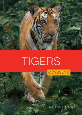 Tigers - Hanel, Rachael
