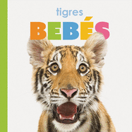 Tigres Beb�s