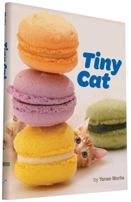 Tiny Cat - Morita, Yoneo (Photographer)