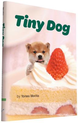 Tiny Dog - Morita, Yoneo (Photographer)
