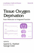 Tissue Oxygen Deprivation: From Molecular to Integrated Function - Haddad, Gabriel (Editor)
