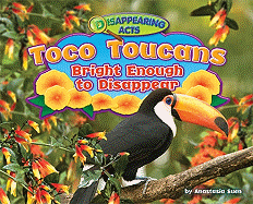 Toco Toucans: Bright Enough to Disappear
