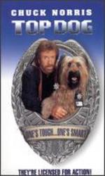 Top Dog