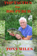 Top Tactics for Big Perch
