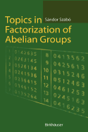 Topics in Factorization of Abelian Groups