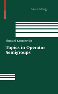 Topics in Operator Semigroups