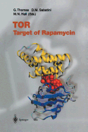 Tor: Target of Rapamycin