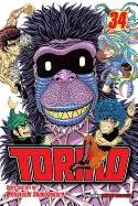 Toriko, Vol. 34: King at Play!!