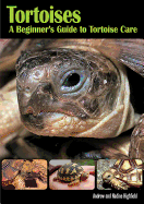 Tortoises