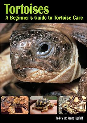 Tortoises - Highfield, Andrew, and Highfield, Nadine