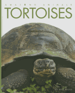 Tortoises