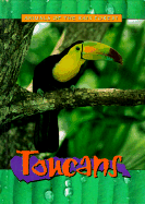Toucans - Dollar, Sam