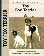 Toy Fox Terrier