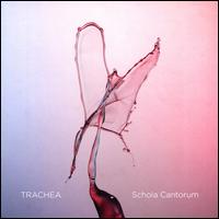 Trachea - Daniel Weiseth Kjellesvik (horn); Julius Pranevicius (horn); Marie Solum Gran (horn); Niklas Sebastian Grenvik (horn); Schola Cantorum (choir, chorus)
