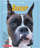Training Your Boxer