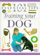 Training your dog