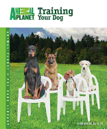 Training Your Dog