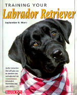 Training Your Labrador Retriever