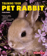 Training Your Pet Rabbit