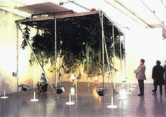 Trans Plant: Living Vegetation in Contemporary Art