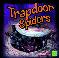 Trapdoor Spiders