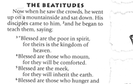 Treasure Study Bible-NIV