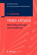 Tribo-Fatigue: Wear-Fatigue Damage and Its Prediction