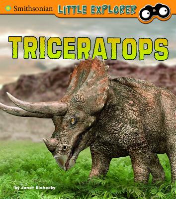 Triceratops - Riehecky, Janet
