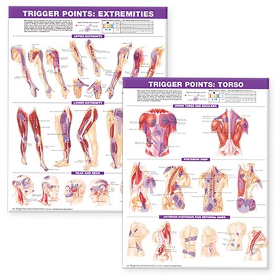Trigger Point Chart Set: Torso and Extremities - Anatomical Chart Company (Editor), and Acc