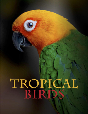 Tropical Birds - Jackson, Tom