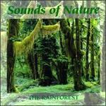 Tropical Rain Forest [Tranquil Moods]