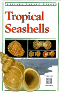 Tropical Seashells