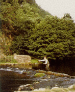 Trout and the Sub-Surface Fly