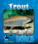 Trout - Coldiron, Deborah