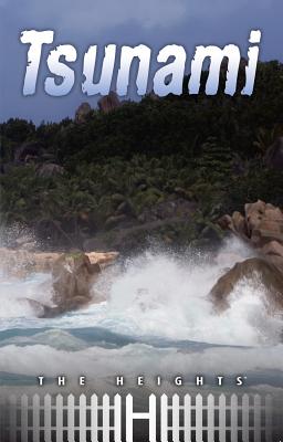 Tsunami - Saddleback Educational Publishing (Editor)
