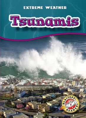 Tsunamis - McCarthy, Keith (Narrator), and Wendorff, Anne