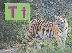 Tt