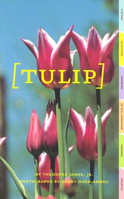 Tulip - James, Theodore, and Haralambou, Harry (Photographer)