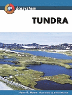 Tundra