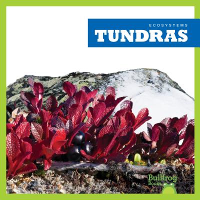 Tundras - Higgins, Nadia