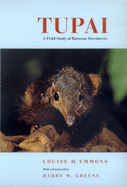 Tupai: A Field Study of Bornean Treeshrews Volume 2