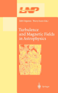 Turbulence and Magnetic Fields in Astrophysics