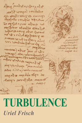 Turbulence - Frisch, Uriel